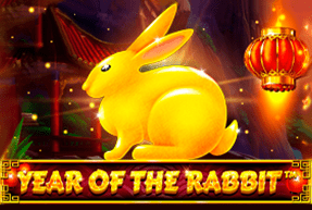Year Of The Rabbit Mobile