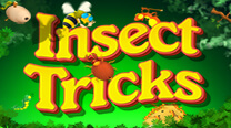 Игровой автомат Insect Tricks